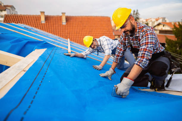 Best Roof Gutter Cleaning  in Hallstead, PA